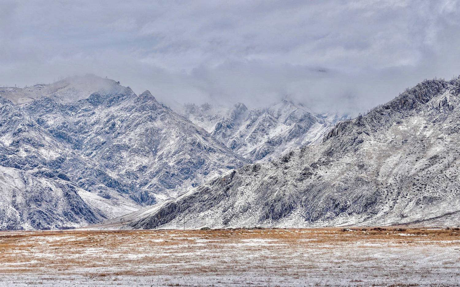 алтай, куюс, Кузнецов Андрей