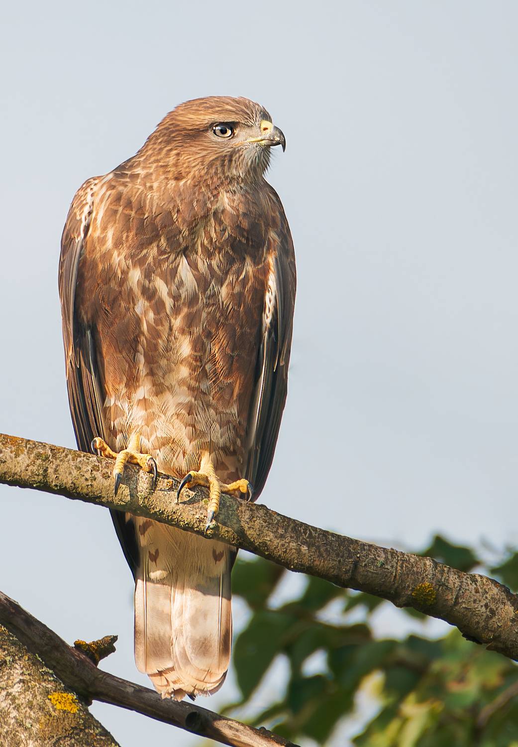, Фото Александр