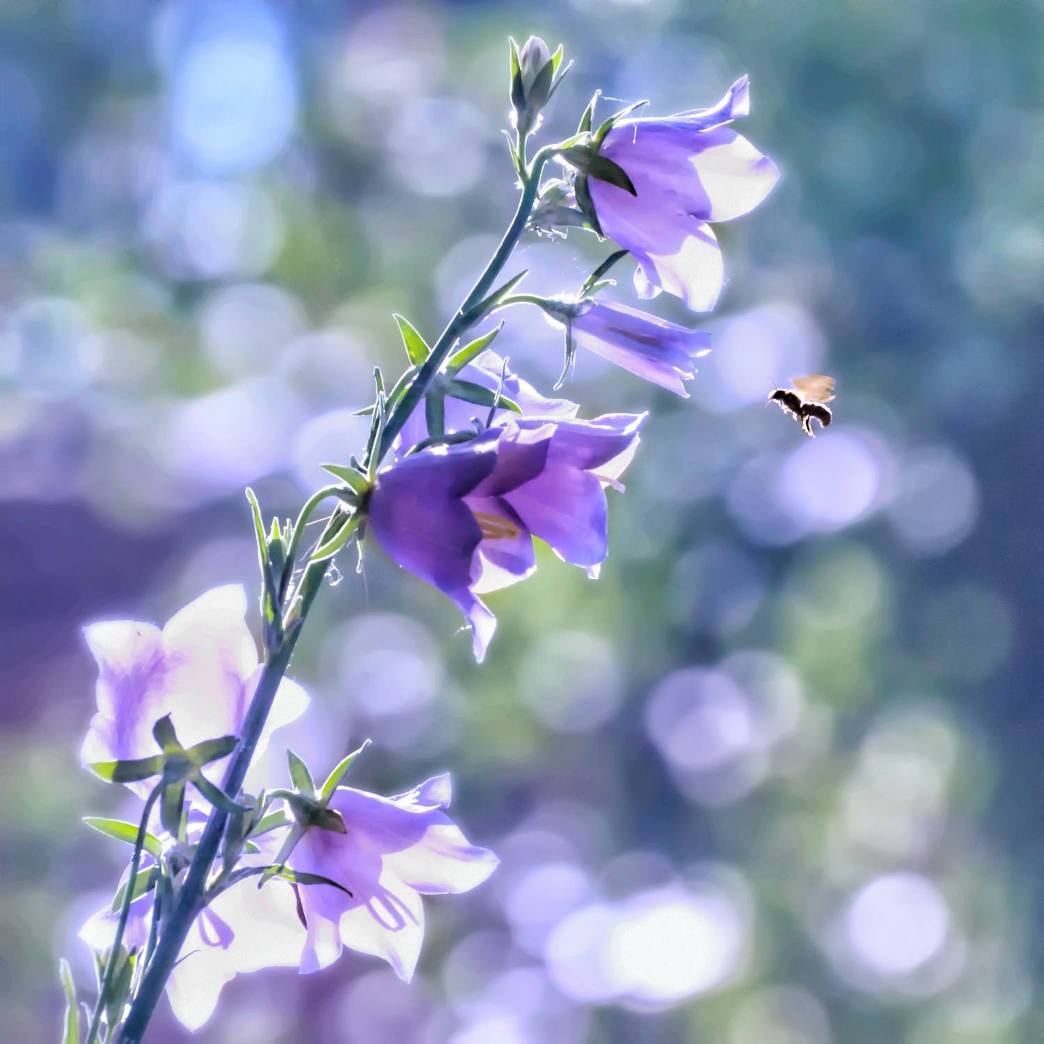 , Олег Тыркин