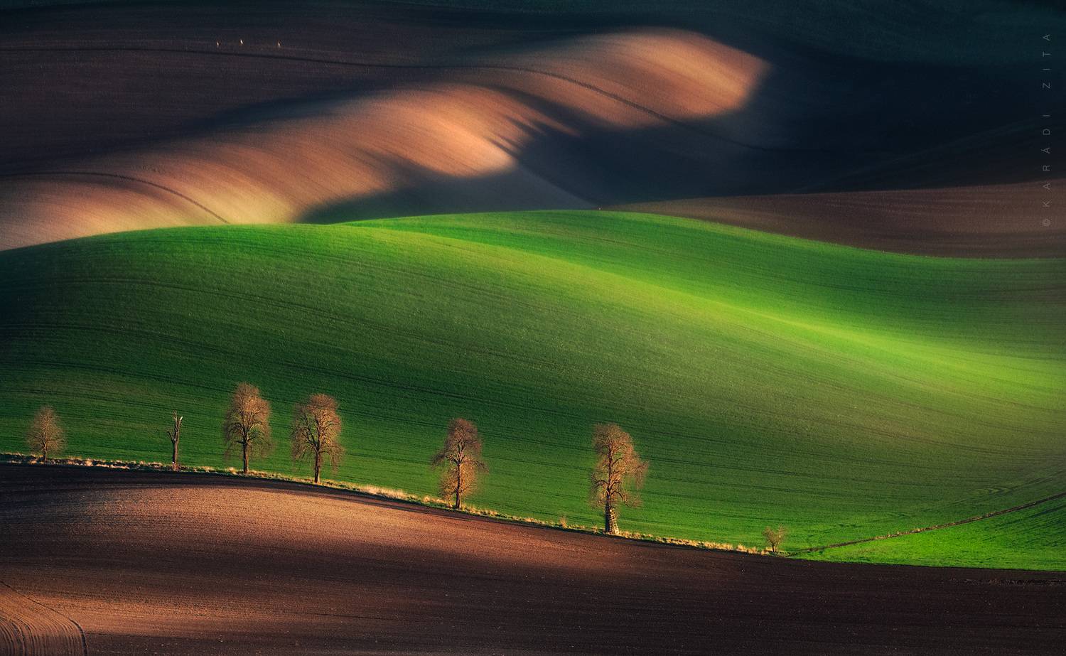czech, moravia, landscape, green, rollinghills, trees, land, fields, agriculture, europe, lights,, Kar&aacute;di Zita