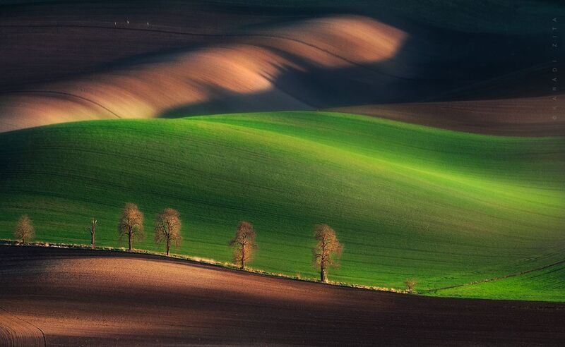 czech, moravia, landscape, green, rollinghills, trees, land, fields, agriculture, europe, lights, Rolling Hills_1 фото превью