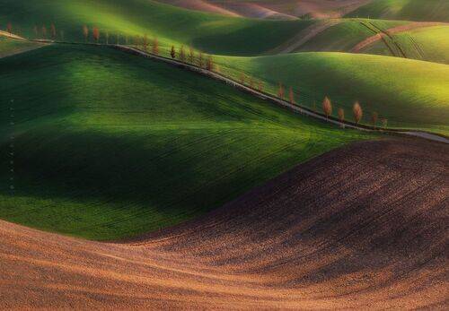 Rolling Hills_2