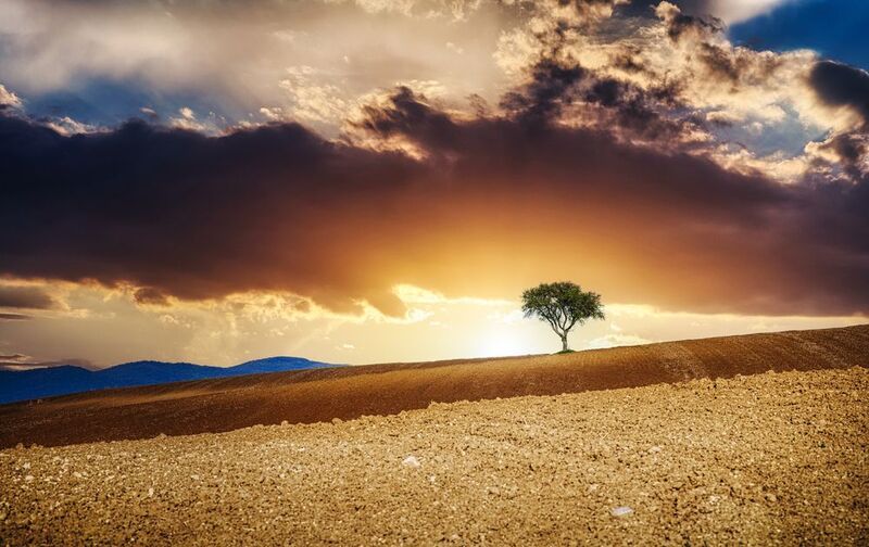 Bulgarian sunset фото превью