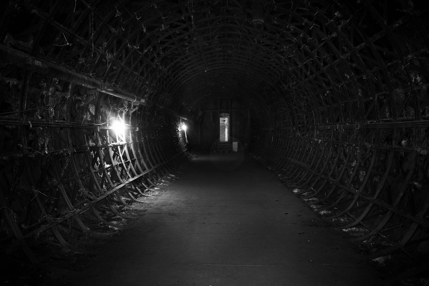 Свет, тьма, коридор, Зорин Миша