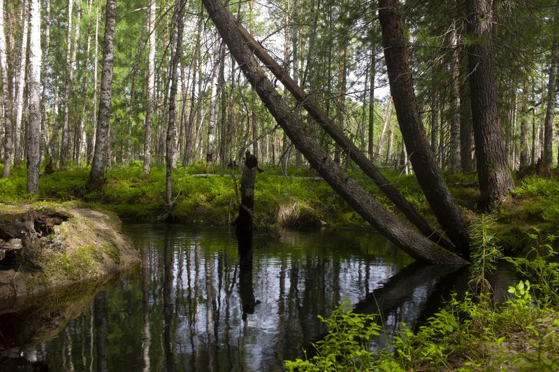 \\\\\\\\\\\\\\\\ фото превью