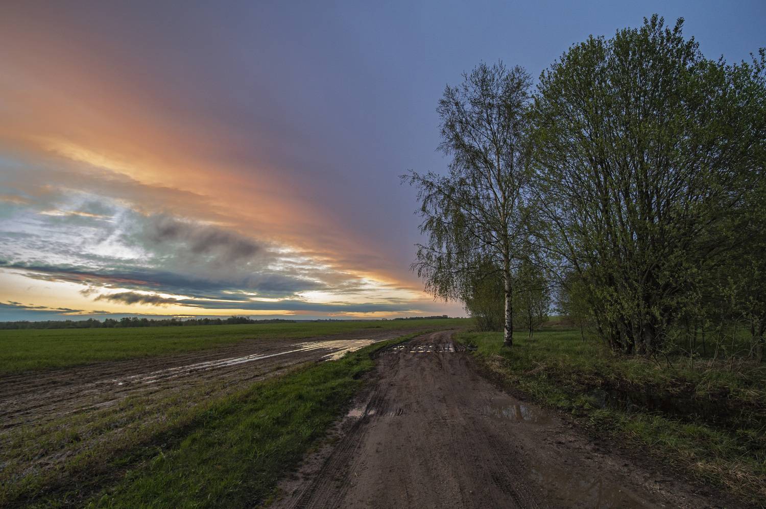 , Шитов Александр