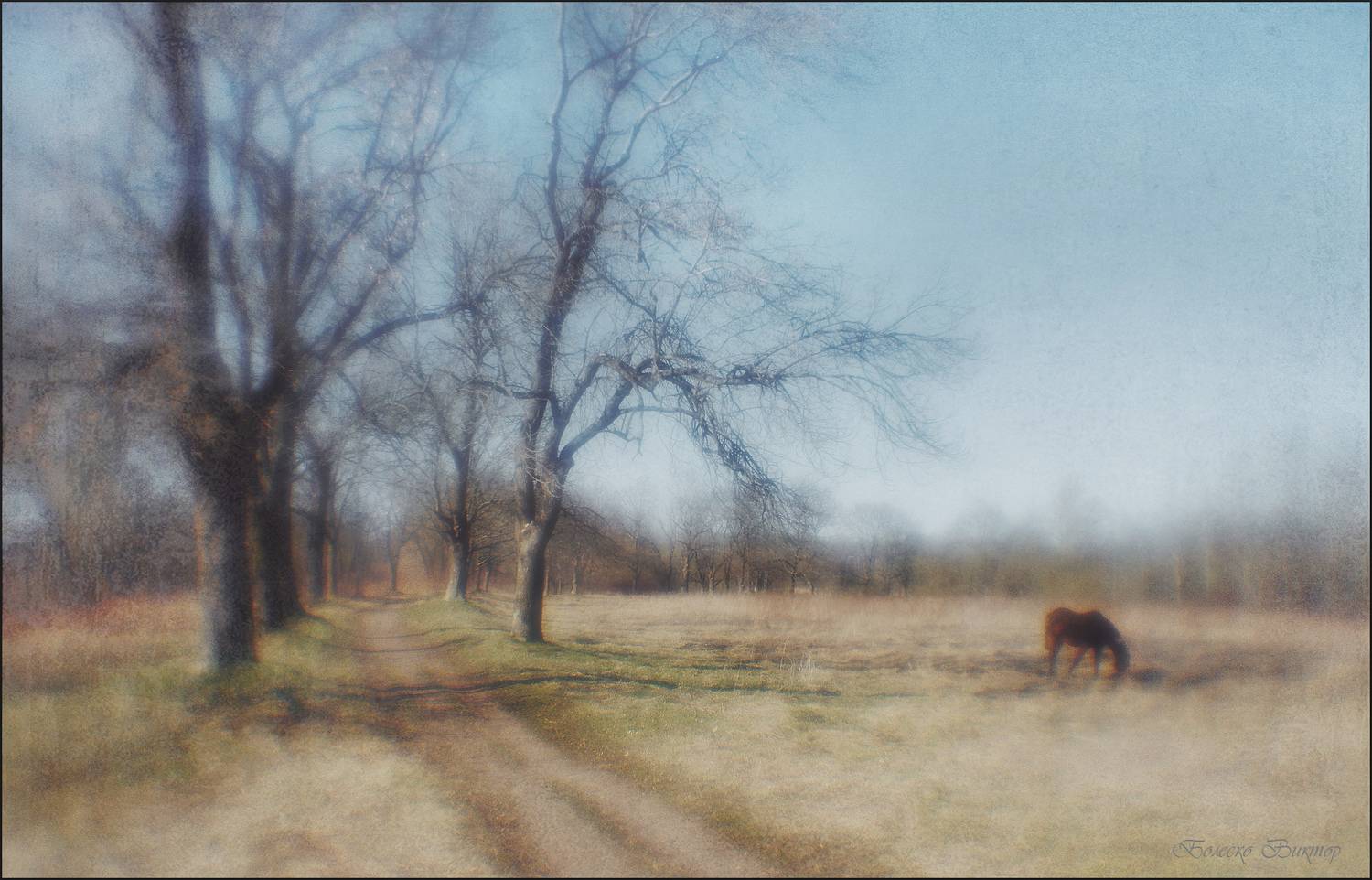 монокль, индустар-50, artрhoto, manuallens, художественное фото, Болеско Виктор