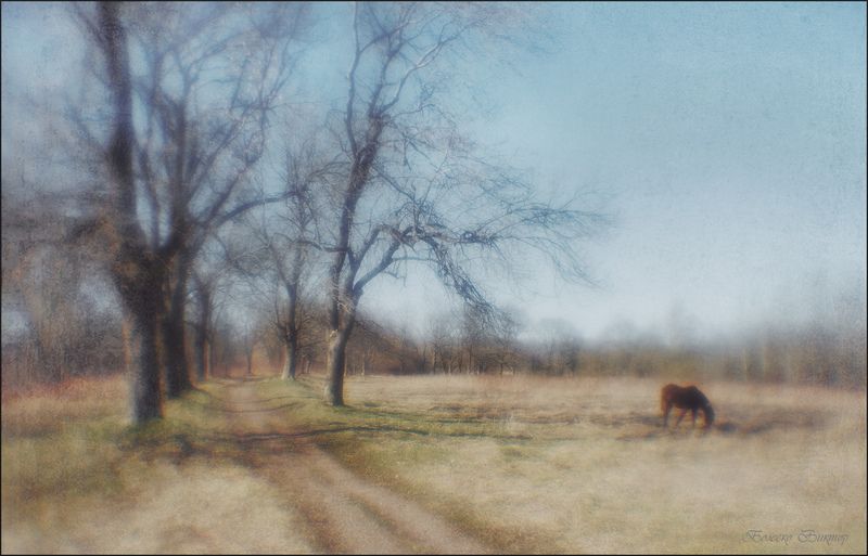 монокль, индустар-50, artрhoto, manuallens, художественное фото Весною или во сне... фото превью