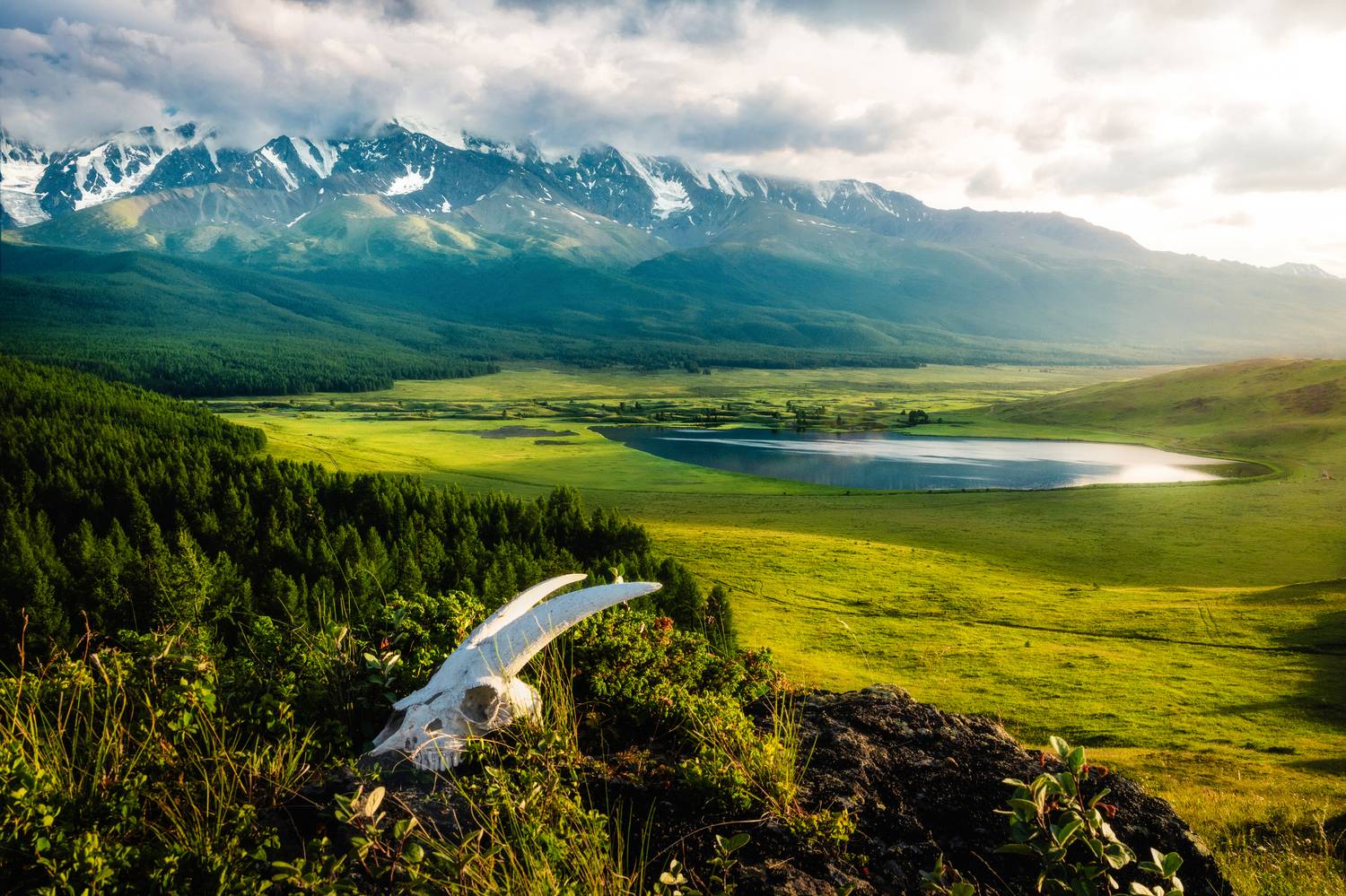 Алтай, озеро, горы, закат, череп, Фоменко Артем