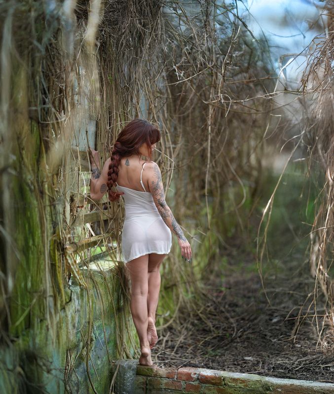 D фото превью