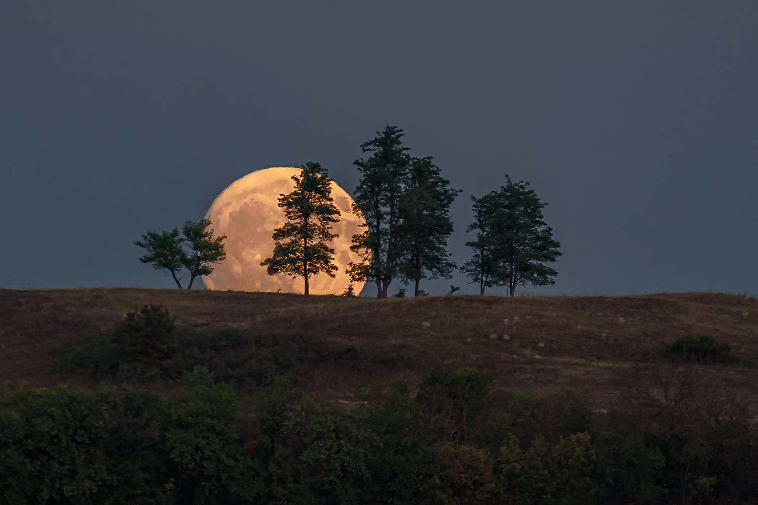 кавказ, кмв, кавказские минеральные воды, лунная ночь, полнолуние, fullmoon, луна, 600 мм, Zakharov Armen