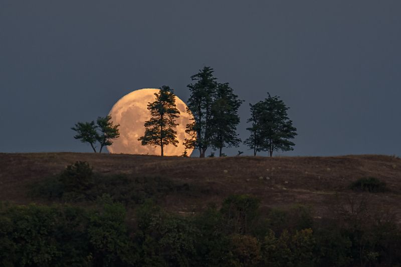 кавказ, кмв, кавказские минеральные воды, лунная ночь, полнолуние, fullmoon, луна, 600 мм Лунный этюд фото превью