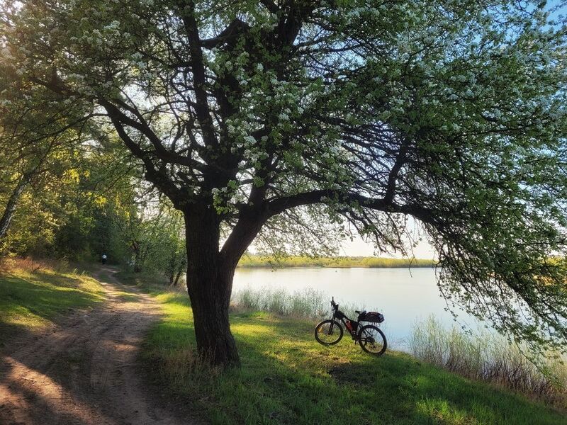 Весенними вечерами фото превью