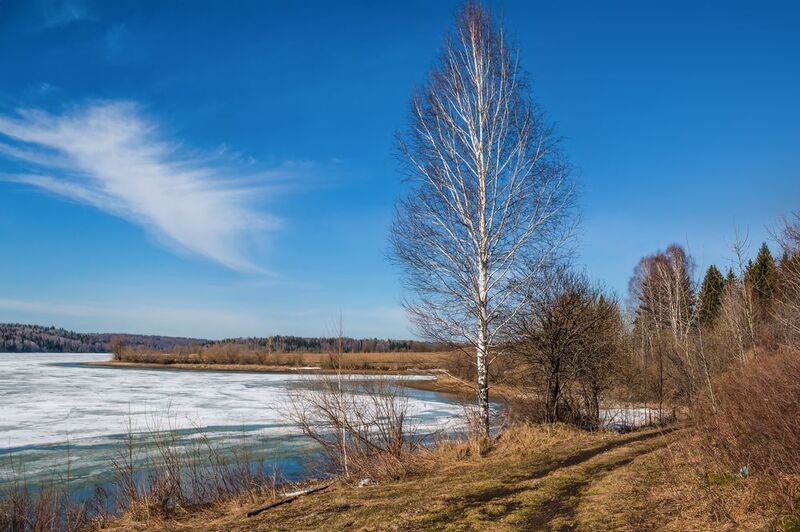 На Чумыше. фото превью