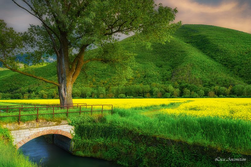Spring time фото превью