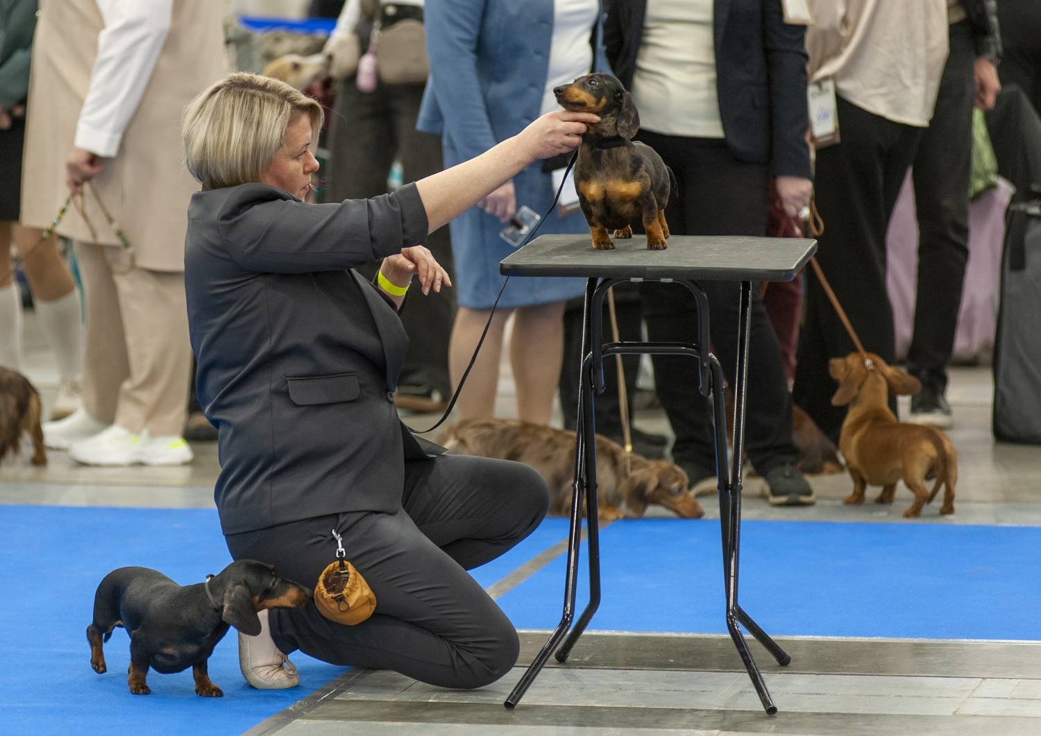 , Георгий Сапожников