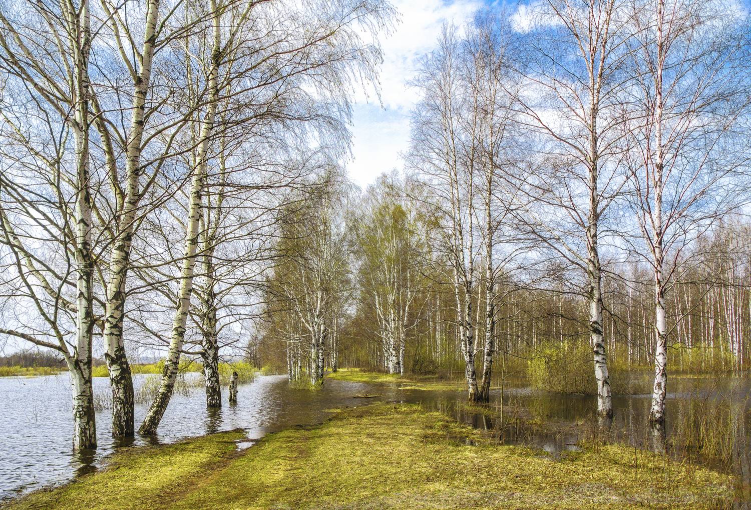 Киров, весна, разлив, галина новинская