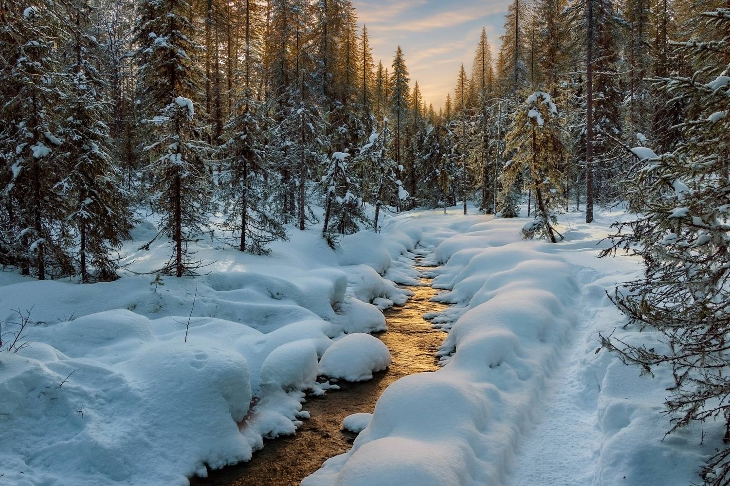 , Вадим Городницкий