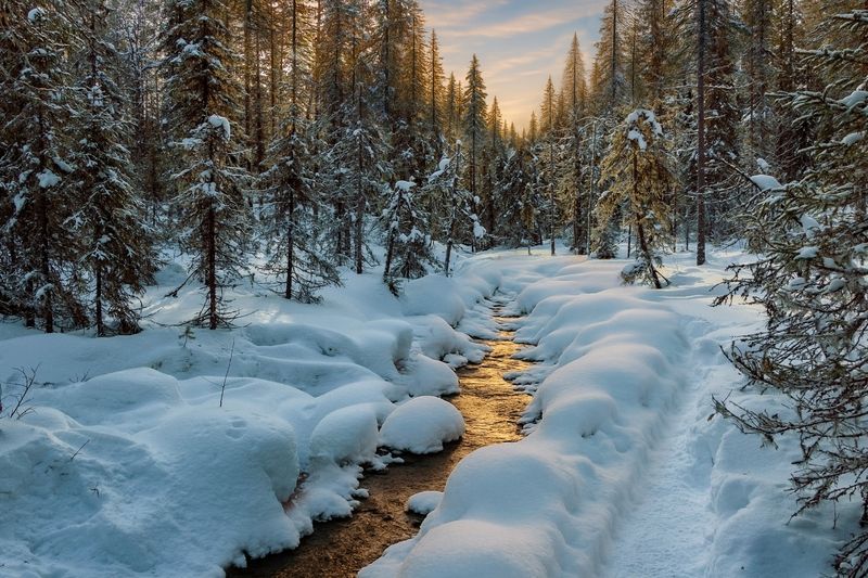 Золотой ручеек фото превью