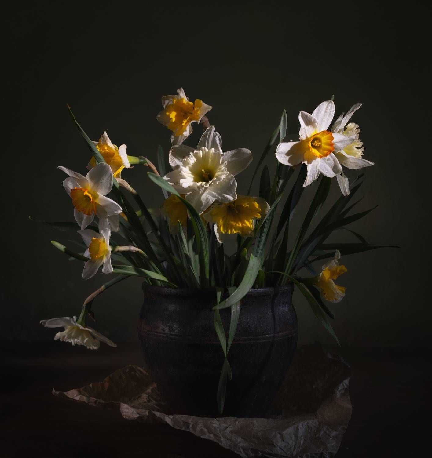 , Александра