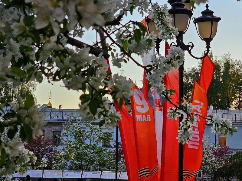 фото превью