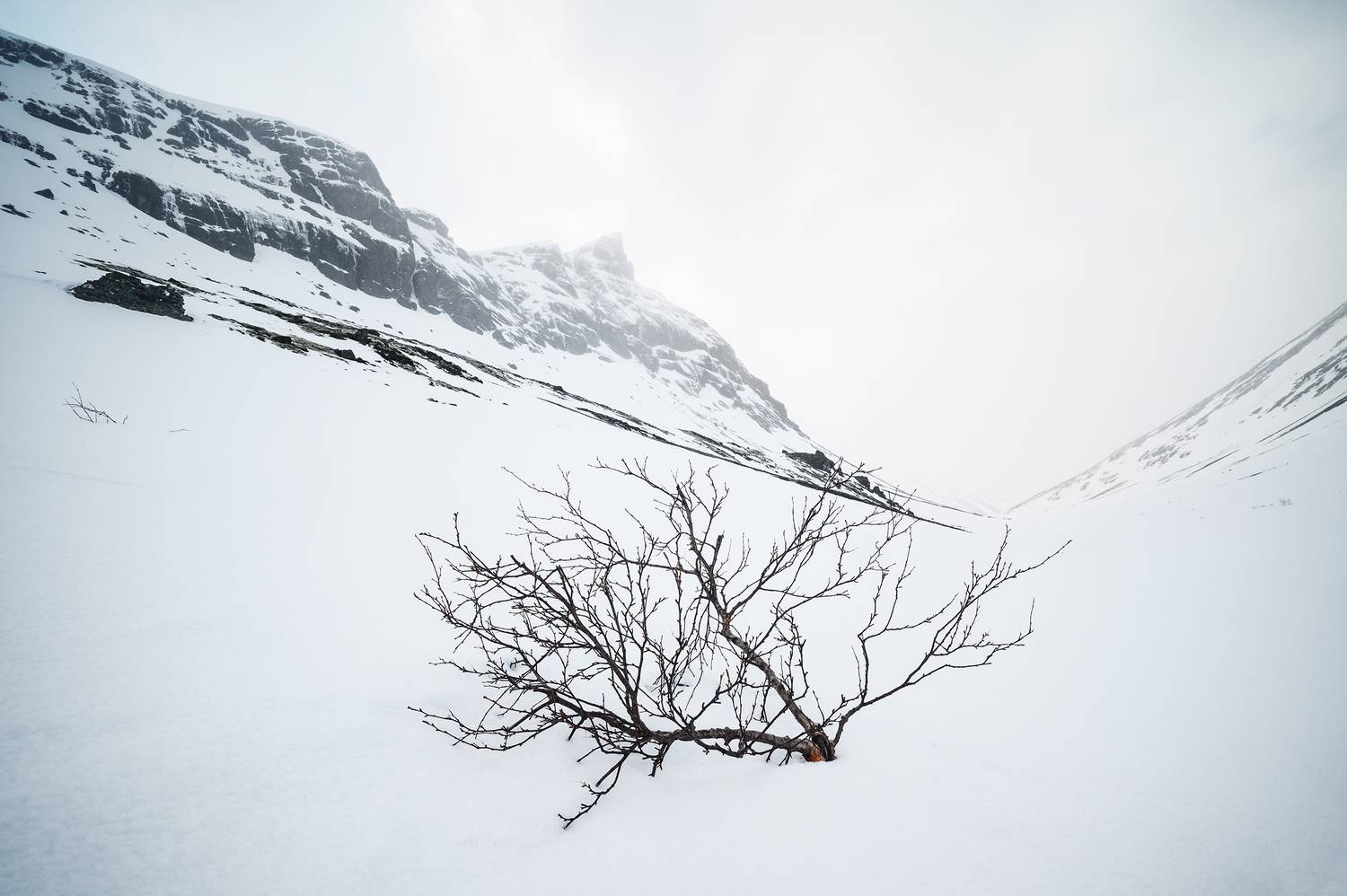 , Ян Сурогин