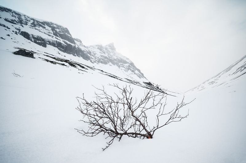 Прогулка до перевала Кукисвумчорр. фото превью