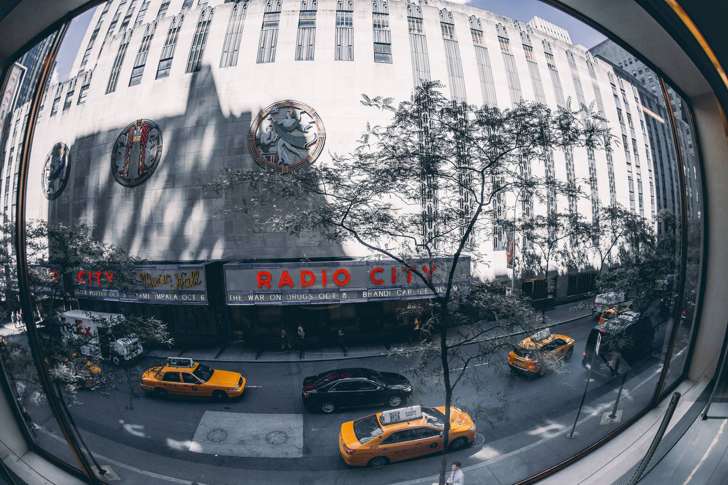 , Трепольский Дмитрий