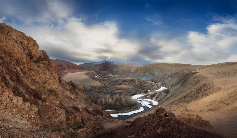 Кокоря фото превью