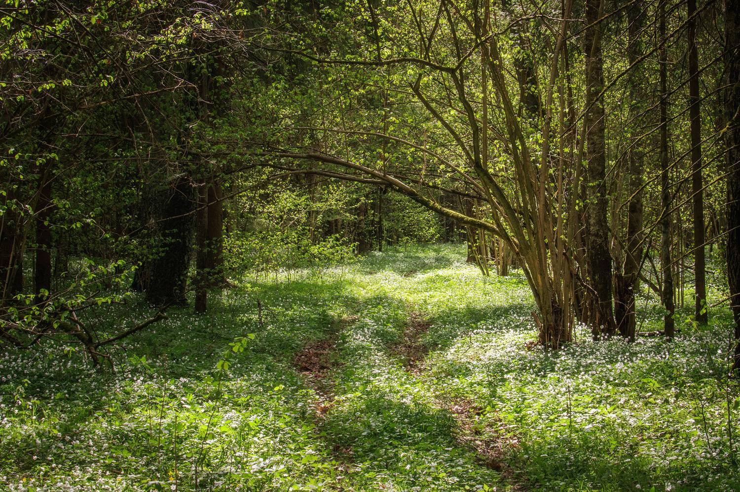 , Морозов Сергей