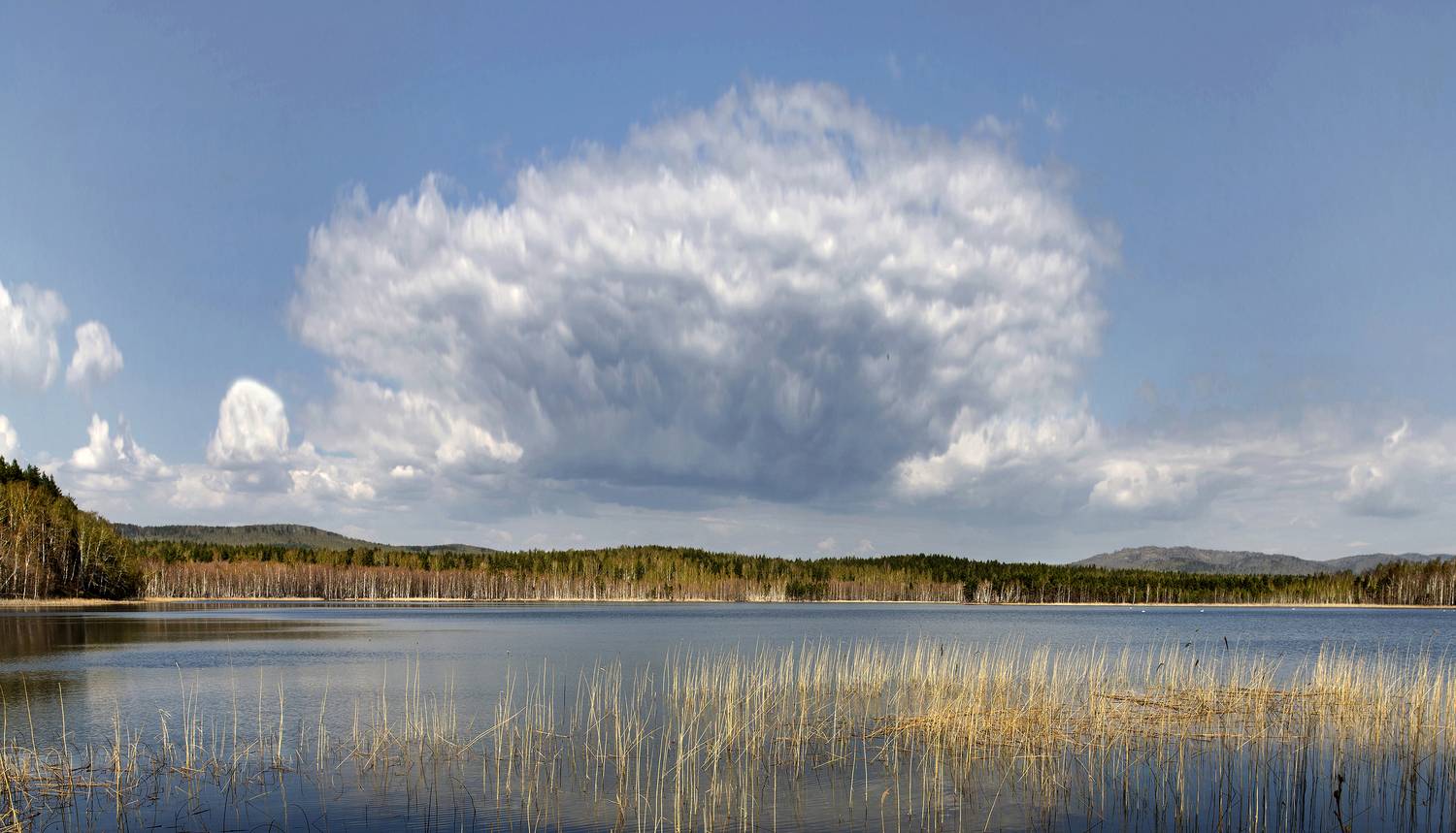 , Ушаков Валерий