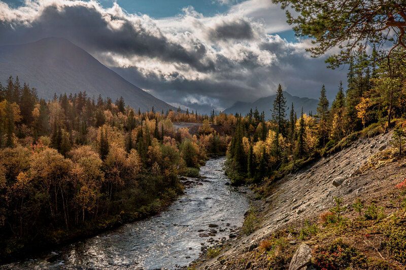 Кунийок фото превью