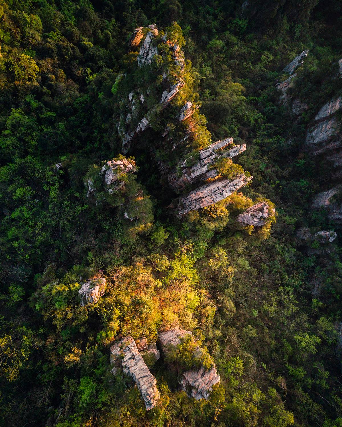 , Артамонов Александр