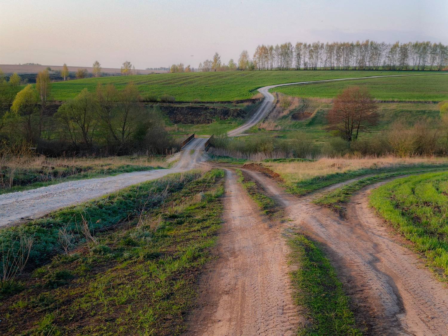 , Кондрашова Светлана