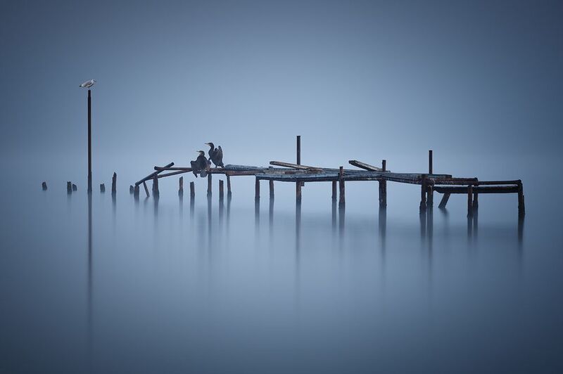 2024-10-03 фото превью