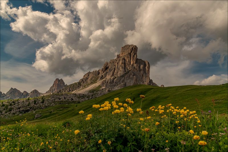 доломитовые альпы,passo giau,панорама,лето,италия,alps,пейзаж,dolomites,цветение,купальница,scenery peak В горах переменчивая погода фото превью