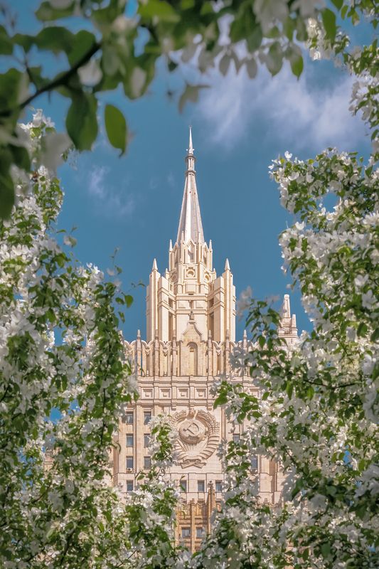 мид, яблоня, весна, москва, moscow, spring МИД фото превью