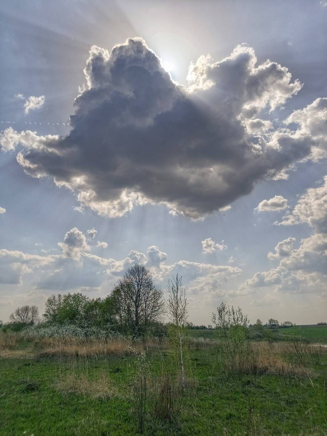 , Кондрашова Светлана