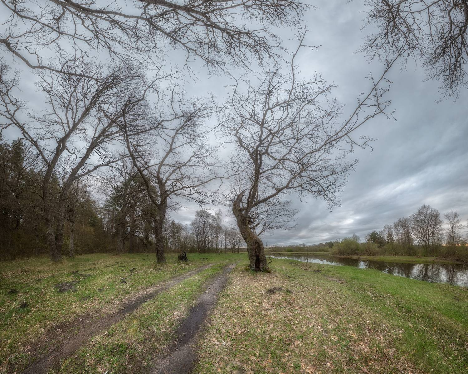 весна, ленобласть, пейзаж, Марголин Алексей