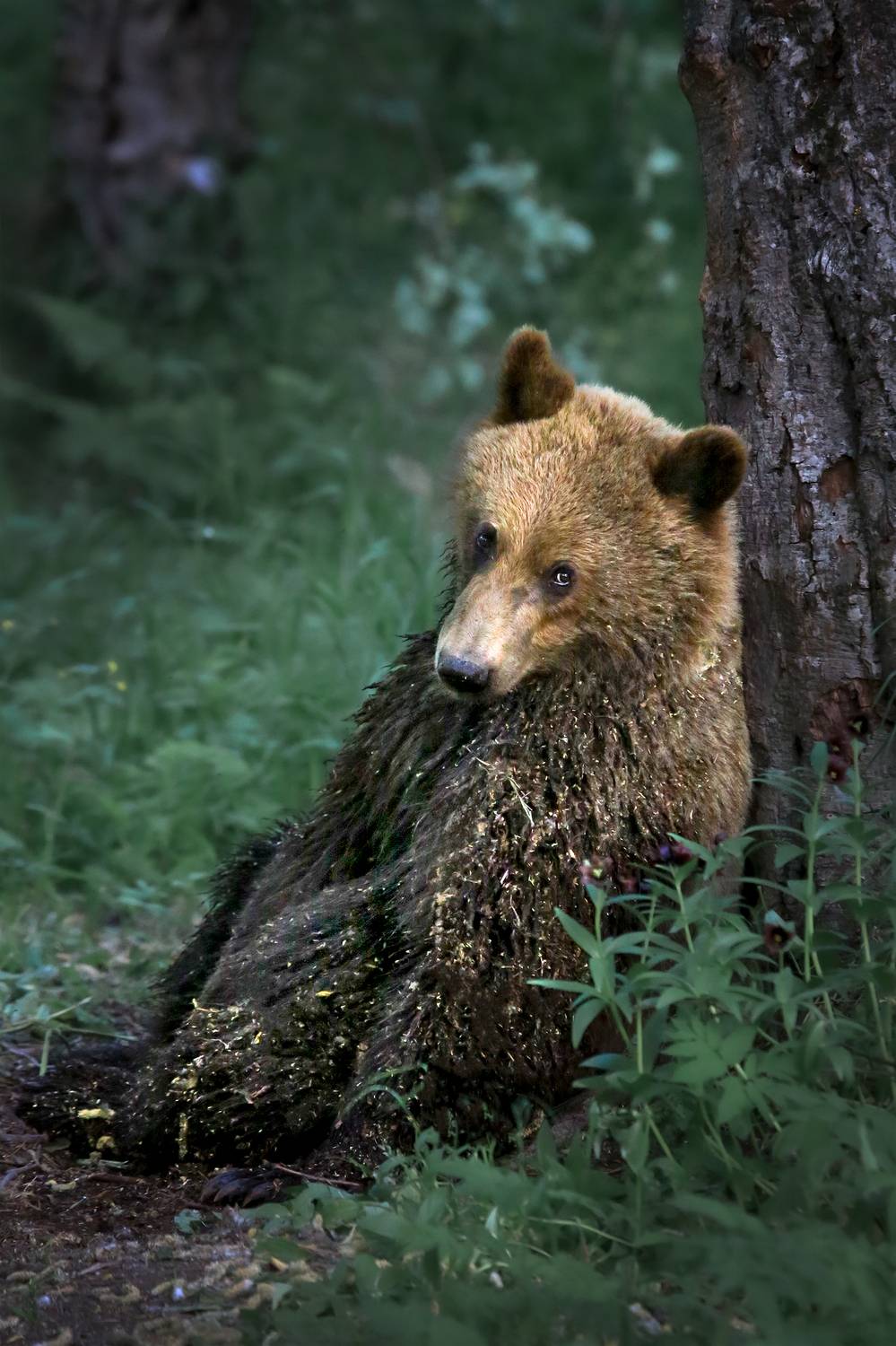 , Проценко Татьяна