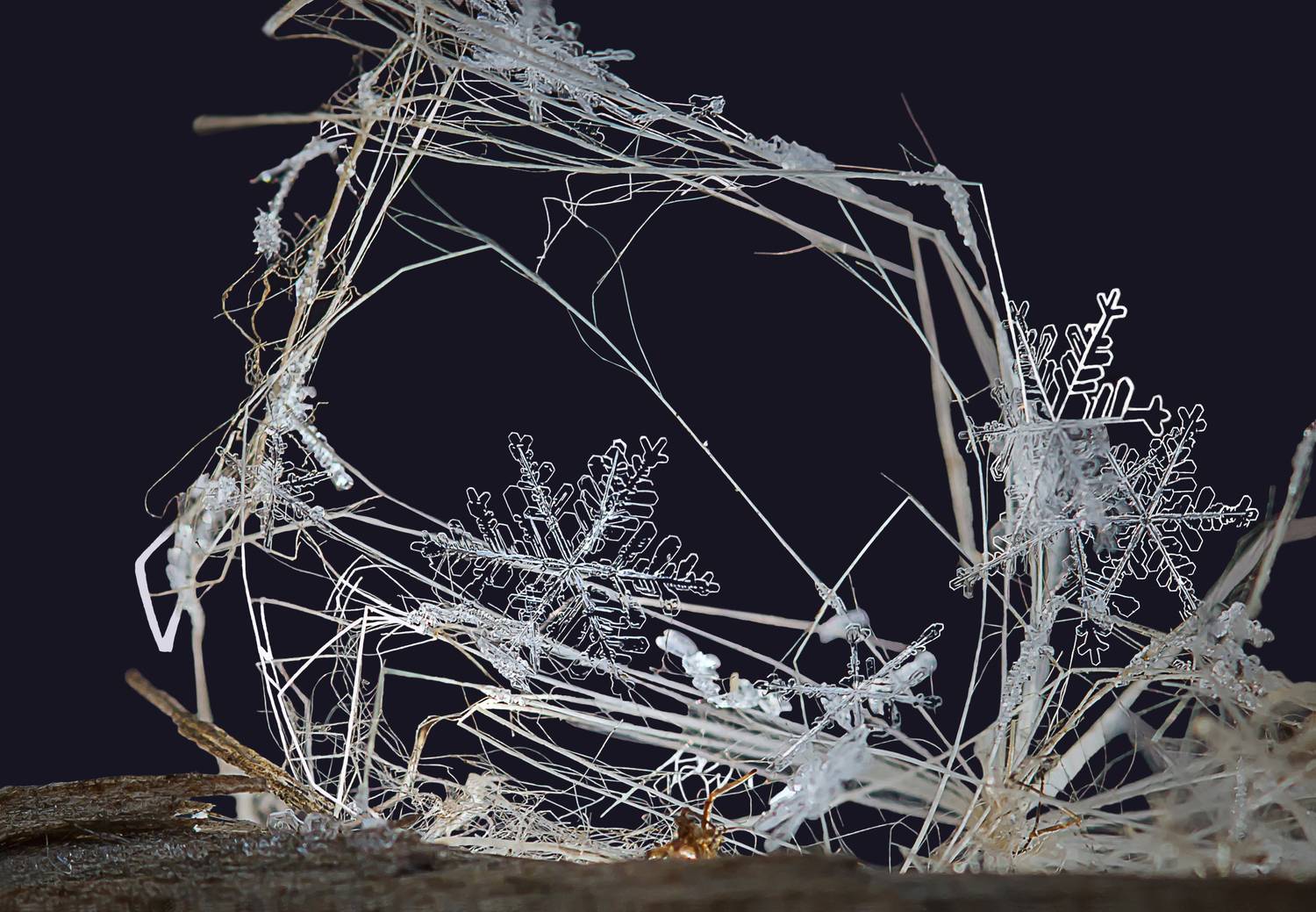 , Andrey Pristyazhnyuk