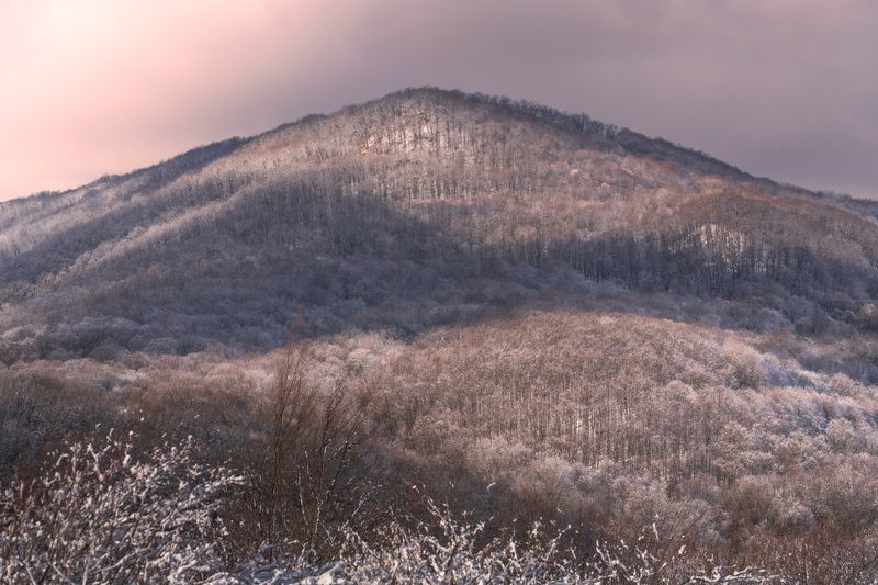 Зимнее настроение фото превью