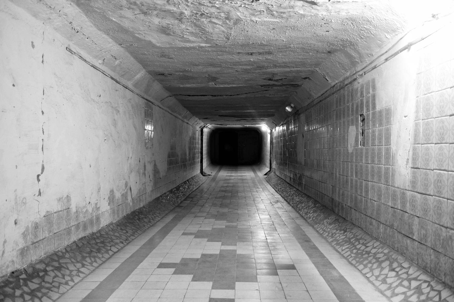 Свет, тьма, коридор, Зорин Миша