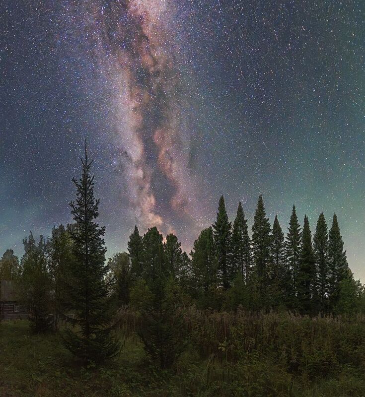 Сибирские ели тянутся в космос фото превью