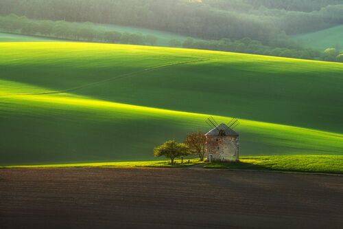 Spring in Moravia