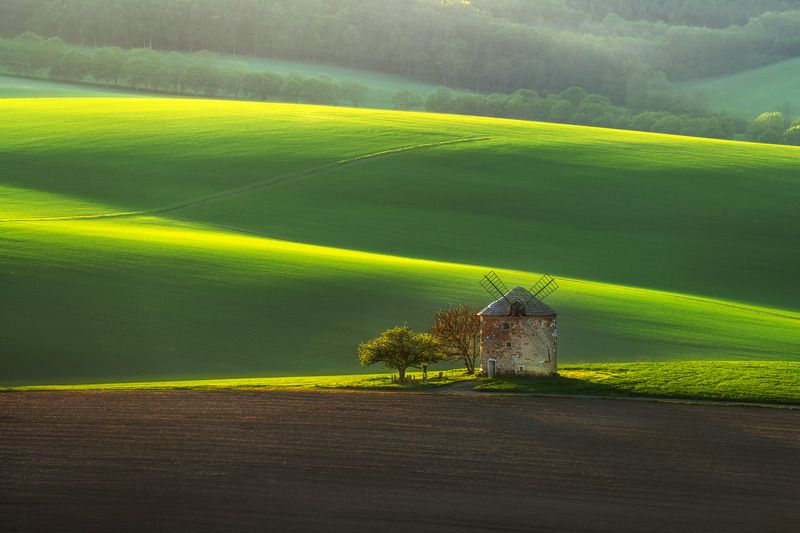 spring, moravia, sony, bloom, trees, czech, bohemia, field, tuscany, green, grass, kunkovice Spring in Moravia фото превью