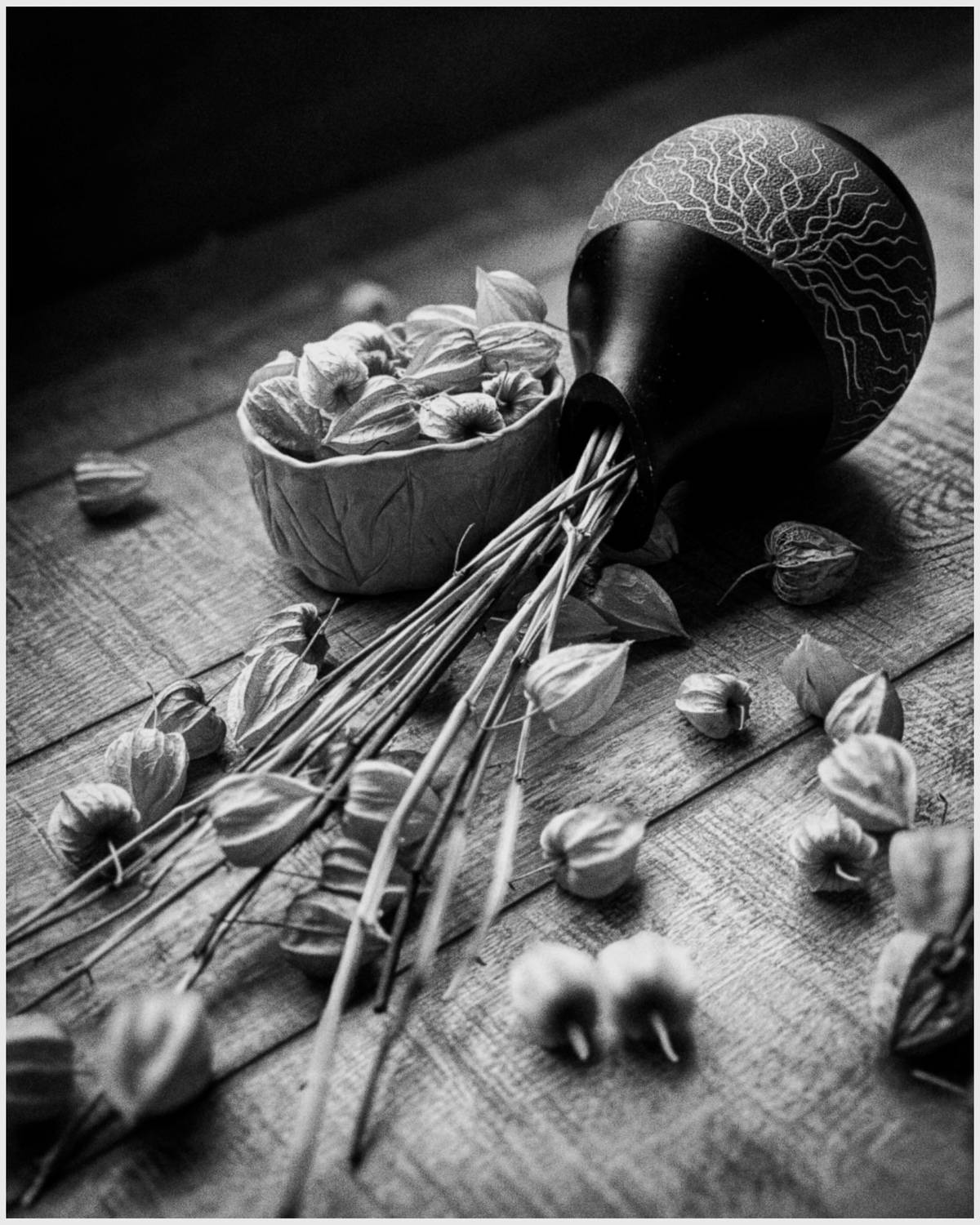 , Щеглова Марина