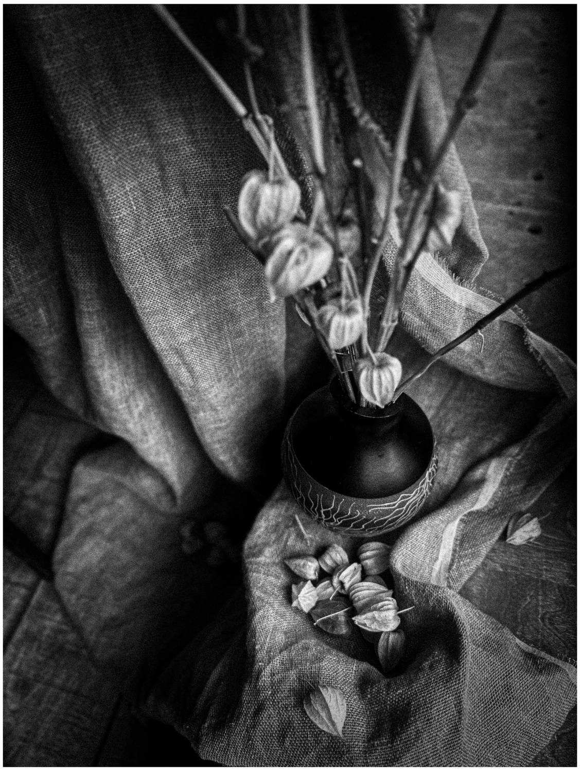 , Щеглова Марина