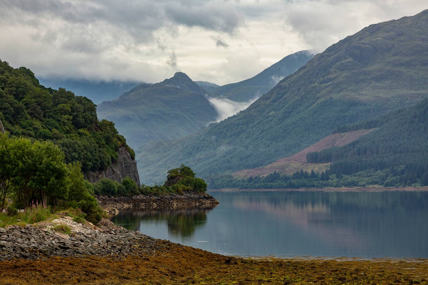 scotland, Vorobeychik Vladimir