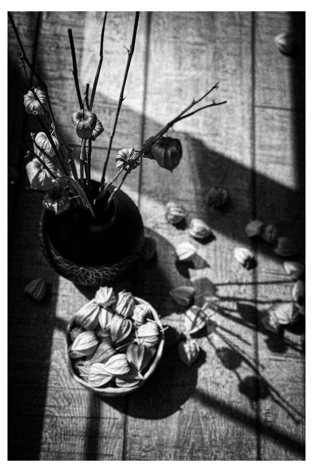 , Щеглова Марина